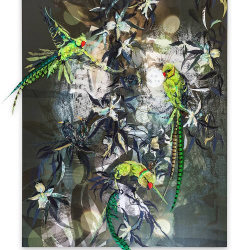 Dandy Parakeets screen