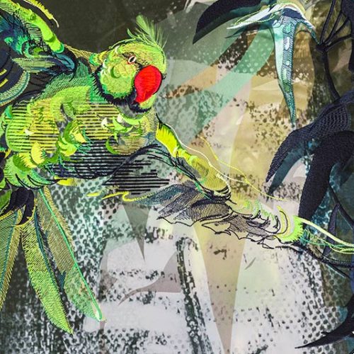 Dandy Parakeets screen – detail