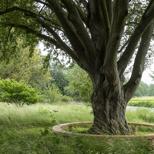 The Jupiter Bench, Glyndebourne
