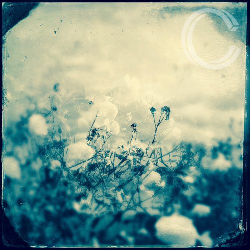 Breathe